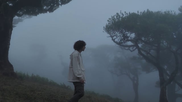 Man walking in a misty forest 