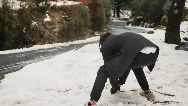 森林里的雪球大战