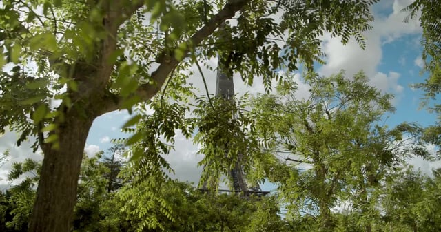 Eiffel Tower behind trees