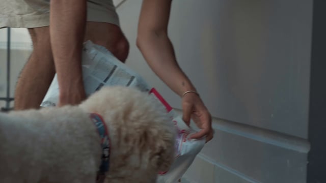 Un anfitrión sirve comida para un perro.