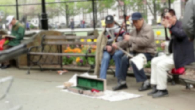 Musical trio playing on a bench