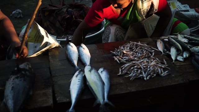 Pescado a la venta en el mercado de pescado