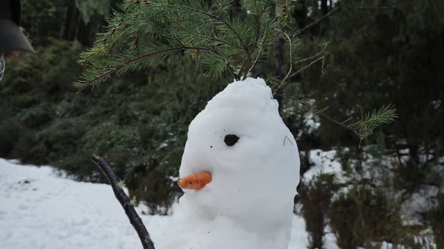 Un chico decora un muñeco de nieve