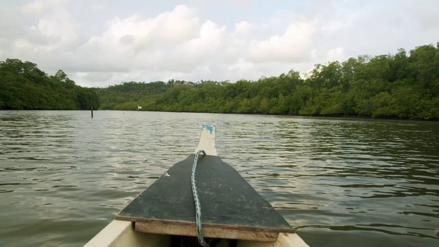 La nariz de la canoa navegando por el río