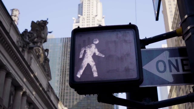Pedestrian crossing light 