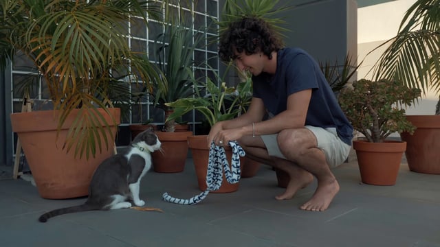 Un hombre juega con su gato.