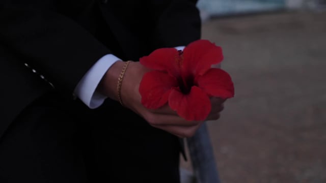 Hombre sujetando una flor roja