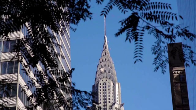Chrysler Building from under a tree 