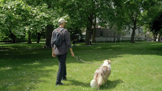 A man walks through a park with his dog on a leash