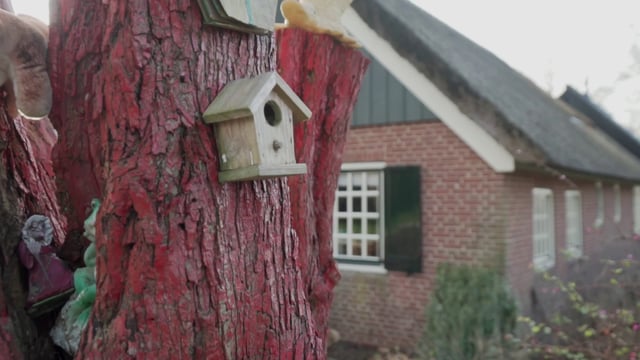 Red-painted tree with birdhouse