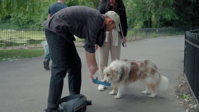 Una pareja alimenta a un perro en el parque.