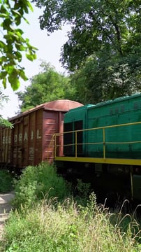 Train in the woods