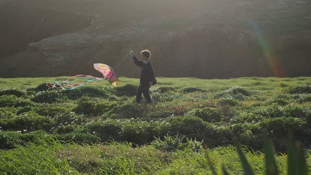 Un chico corriendo con una cometa en el campo