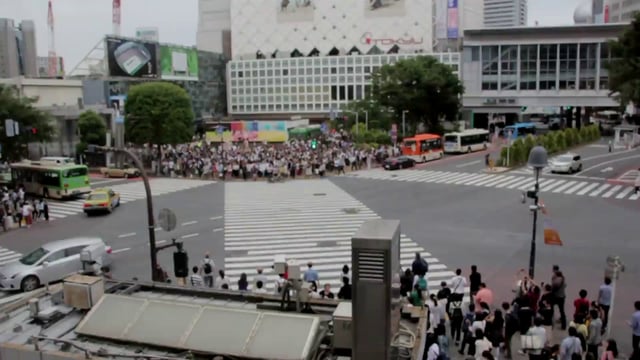 拥挤人行横道的延时