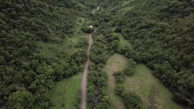 阿根廷青山之间的小径