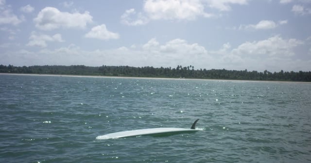 Tabla de surf flotando sola en el mar