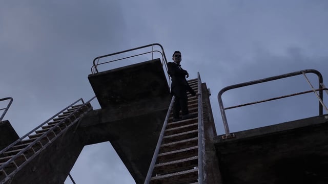 Man looks down from a ladder
