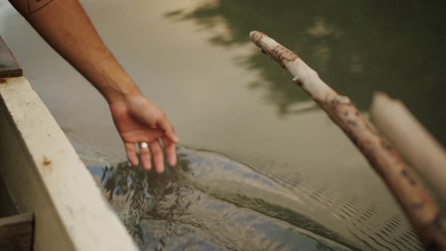 Una mano toca suavemente el agua del río