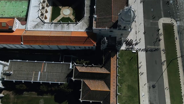 牛奶艺术[免费商用]