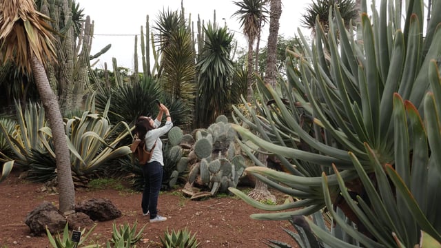 Taking photos in a botanical garden