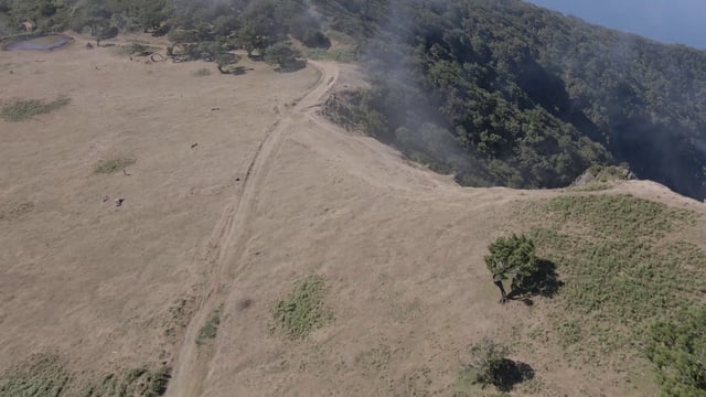 山间小道