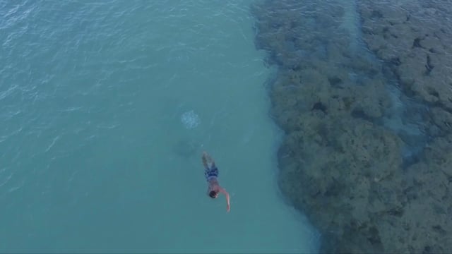 Hombre nadando cerca de un arrecife de coral