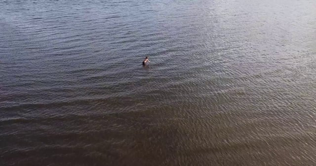 书籍页面的概念视频[免费商用竖屏]