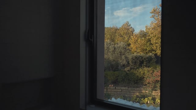 View of an Autumn garden from a window inside an apartment