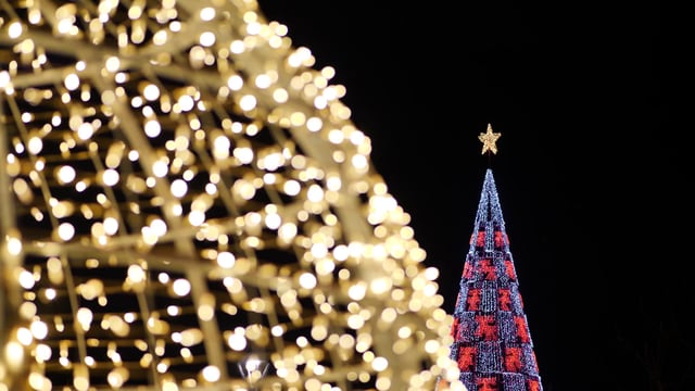 Christmas tree and Christmas lights