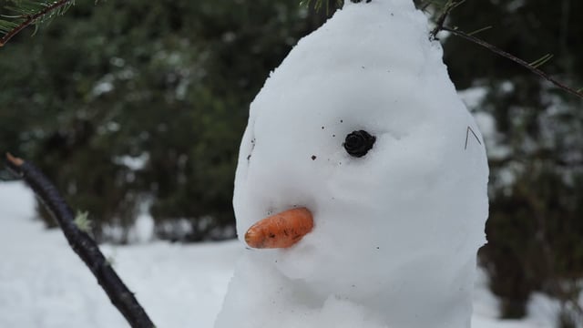 Snowman's head