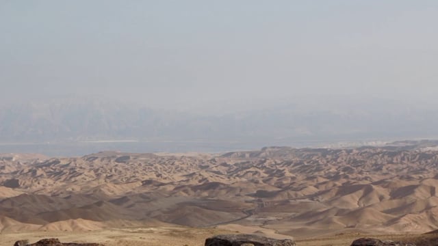 Man looking over a desert